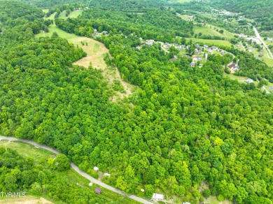 Welcome to your dream property in Gate City, VA! This 18+ acres on Scott County Park and Golf Course in Virginia - for sale on GolfHomes.com, golf home, golf lot