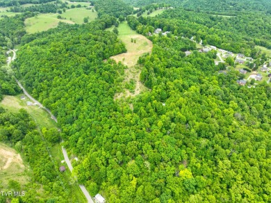 Welcome to your dream property in Gate City, VA! This 18+ acres on Scott County Park and Golf Course in Virginia - for sale on GolfHomes.com, golf home, golf lot