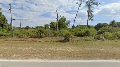 Build your dream home on this spacious residential lot in Lehigh on Mirror Lakes Golf Club in Florida - for sale on GolfHomes.com, golf home, golf lot