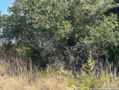 Looking for a large lot that has a great view and backs up to a on Vaaler Creek Golf Club in Texas - for sale on GolfHomes.com, golf home, golf lot
