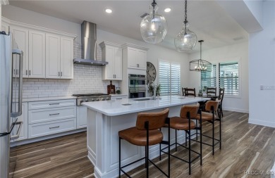 This Home will absolutely take your breath away... TERRA VISTA on Skyview At Terra Vista Golf and Country Club in Florida - for sale on GolfHomes.com, golf home, golf lot