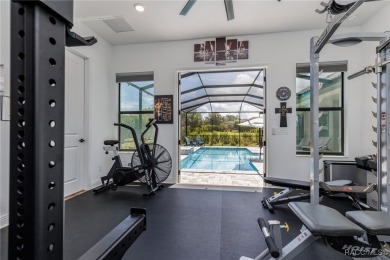 This Home will absolutely take your breath away... TERRA VISTA on Skyview At Terra Vista Golf and Country Club in Florida - for sale on GolfHomes.com, golf home, golf lot