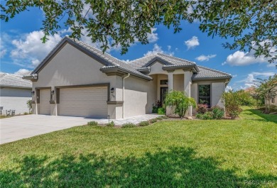 This Home will absolutely take your breath away... TERRA VISTA on Skyview At Terra Vista Golf and Country Club in Florida - for sale on GolfHomes.com, golf home, golf lot