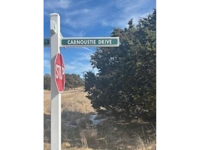 Discover the opportunity to own a piece of paradise in The on The Cliffs Resort in Texas - for sale on GolfHomes.com, golf home, golf lot