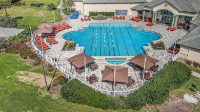 This Home will absolutely take your breath away... TERRA VISTA on Skyview At Terra Vista Golf and Country Club in Florida - for sale on GolfHomes.com, golf home, golf lot
