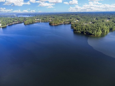Seize this rare opportunity to own a stunning lakefront lot in on Reynolds Lake Oconee - The Oconee in Georgia - for sale on GolfHomes.com, golf home, golf lot