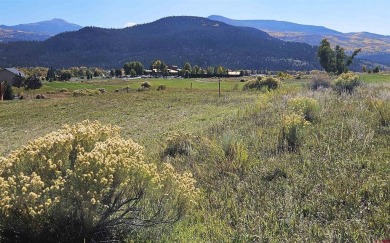 Wendy G Saunders, Keller Williams Realty Southwest Associates on Rio Grande Golf Club in Colorado - for sale on GolfHomes.com, golf home, golf lot