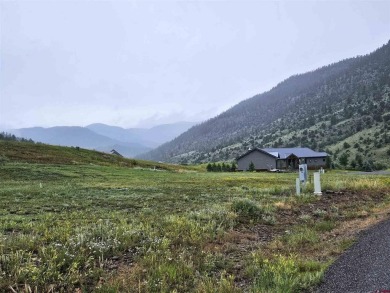 Wendy G Saunders, Keller Williams Realty Southwest Associates on Rio Grande Golf Club in Colorado - for sale on GolfHomes.com, golf home, golf lot