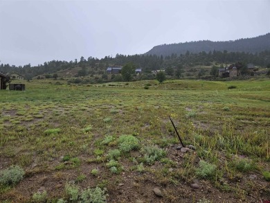 Wendy G Saunders, Keller Williams Realty Southwest Associates on Rio Grande Golf Club in Colorado - for sale on GolfHomes.com, golf home, golf lot