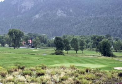 Wendy G Saunders, Keller Williams Realty Southwest Associates on Rio Grande Golf Club in Colorado - for sale on GolfHomes.com, golf home, golf lot