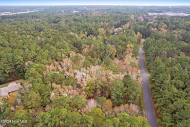 Want Acreage, Privacy & Affordability Close to the Beach? This 1 on Carolina Shores Golf Course in North Carolina - for sale on GolfHomes.com, golf home, golf lot