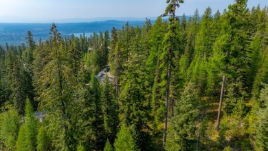 Gently sloped, south-facing 1.2-acre lot located in the upper on Iron Horse Golf Club in Montana - for sale on GolfHomes.com, golf home, golf lot