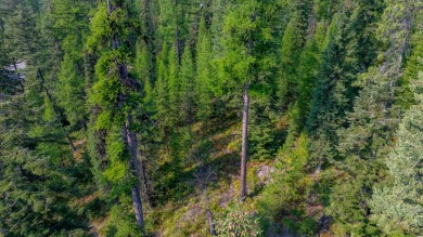 Gently sloped, south-facing 1.2-acre lot located in the upper on Iron Horse Golf Club in Montana - for sale on GolfHomes.com, golf home, golf lot