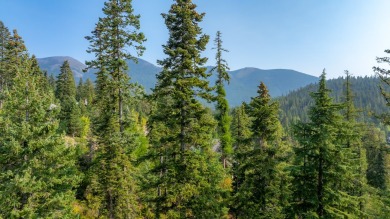 Gently sloped, south-facing 1.2-acre lot located in the upper on Iron Horse Golf Club in Montana - for sale on GolfHomes.com, golf home, golf lot
