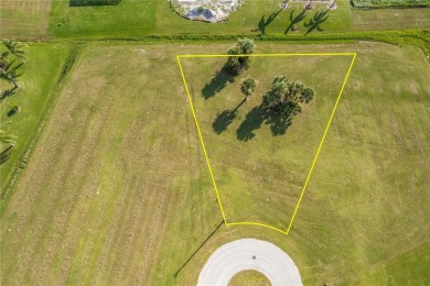 BURNT STORE LAKES LOT - Build in paradise...consider this vacant on Burnt Store Golf Club in Florida - for sale on GolfHomes.com, golf home, golf lot