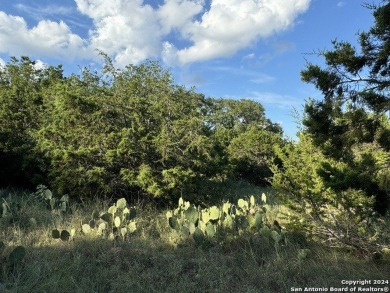 Build your new home here! Fantastic heavily wooded corner lot on Rebecca Creek Golf Club in Texas - for sale on GolfHomes.com, golf home, golf lot