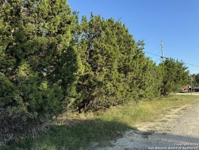 Build your new home here! Fantastic heavily wooded corner lot on Rebecca Creek Golf Club in Texas - for sale on GolfHomes.com, golf home, golf lot