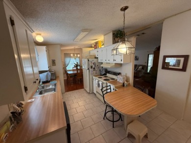 This well-cared for 2-bedroom, 2-bathroom Palm Harbor Home is on Del Tura Golf and Country Club in Florida - for sale on GolfHomes.com, golf home, golf lot
