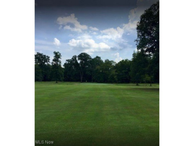 Online Real Estate Auction! Lands of Meander Golf Course! 44.9 on Meander Golf Course in Ohio - for sale on GolfHomes.com, golf home, golf lot