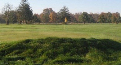 Online Real Estate Auction! Lands of Meander Golf Course! 44.9 on Meander Golf Course in Ohio - for sale on GolfHomes.com, golf home, golf lot