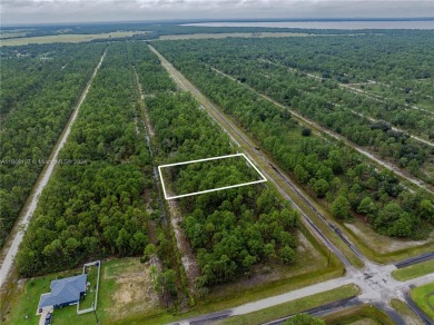 Exclusively listed by Sunland Real Estate: This 0.50-acre lot is on Indian Lake Estates Golf and Country Club in Florida - for sale on GolfHomes.com, golf home, golf lot