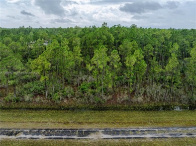 Exclusively listed by Sunland Real Estate: This 0.50-acre lot is on Indian Lake Estates Golf and Country Club in Florida - for sale on GolfHomes.com, golf home, golf lot