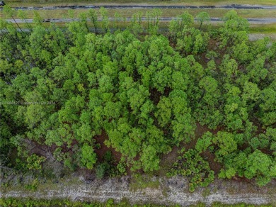 Exclusively listed by Sunland Real Estate: This 0.50-acre lot is on Indian Lake Estates Golf and Country Club in Florida - for sale on GolfHomes.com, golf home, golf lot