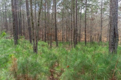 Great, flat lot in the newer section of The Landing! Quick on Reynolds Lake Oconee - The Landing in Georgia - for sale on GolfHomes.com, golf home, golf lot