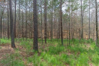 Great, flat lot in the newer section of The Landing! Quick on Reynolds Lake Oconee - The Landing in Georgia - for sale on GolfHomes.com, golf home, golf lot