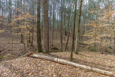 Great, flat lot in the newer section of The Landing! Quick on Reynolds Lake Oconee - The Landing in Georgia - for sale on GolfHomes.com, golf home, golf lot