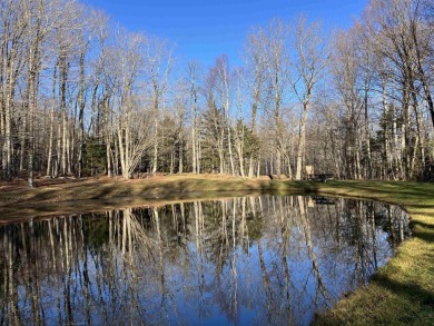 Nice single lot surrounded by HOA common land within walking on Hermitage Club Golf Course in Vermont - for sale on GolfHomes.com, golf home, golf lot