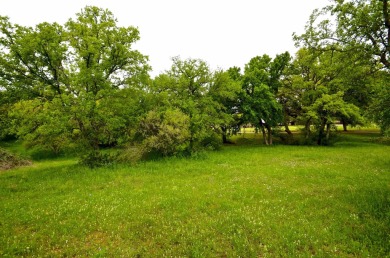 Build the custom golf course home of your dreams! Cul-de-Sac on Apple Rock Golf Course - Horseshoe Bay in Texas - for sale on GolfHomes.com, golf home, golf lot