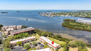 WELCOME TO PARADISE and discover waterfront living at its best! on The Dunedin Country Club in Florida - for sale on GolfHomes.com, golf home, golf lot
