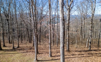 Views, views, views! When you decide to build a home in the on Brasstown Valley Resort and Spa in Georgia - for sale on GolfHomes.com, golf home, golf lot