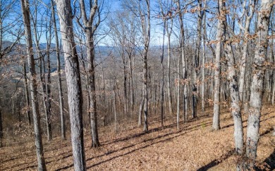 Views, views, views! When you decide to build a home in the on Brasstown Valley Resort and Spa in Georgia - for sale on GolfHomes.com, golf home, golf lot