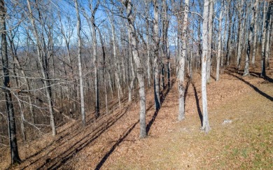 Views, views, views! When you decide to build a home in the on Brasstown Valley Resort and Spa in Georgia - for sale on GolfHomes.com, golf home, golf lot