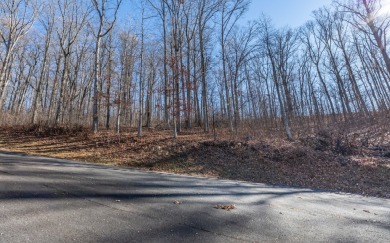 Views, views, views! When you decide to build a home in the on Brasstown Valley Resort and Spa in Georgia - for sale on GolfHomes.com, golf home, golf lot