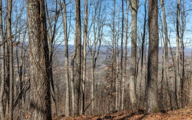 Views, views, views! When you decide to build a home in the on Brasstown Valley Resort and Spa in Georgia - for sale on GolfHomes.com, golf home, golf lot