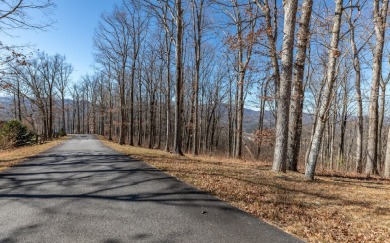 Views, views, views! When you decide to build a home in the on Brasstown Valley Resort and Spa in Georgia - for sale on GolfHomes.com, golf home, golf lot