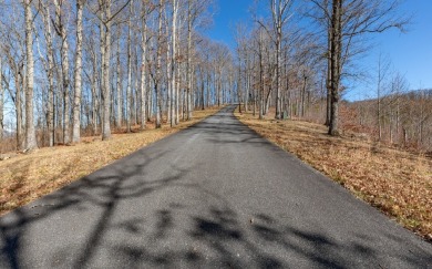 Views, views, views! When you decide to build a home in the on Brasstown Valley Resort and Spa in Georgia - for sale on GolfHomes.com, golf home, golf lot