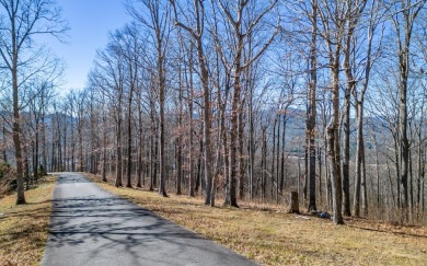 Views, views, views! When you decide to build a home in the on Brasstown Valley Resort and Spa in Georgia - for sale on GolfHomes.com, golf home, golf lot