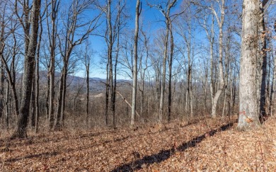 Views, views, views! When you decide to build a home in the on Brasstown Valley Resort and Spa in Georgia - for sale on GolfHomes.com, golf home, golf lot