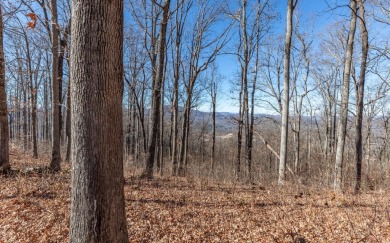 Views, views, views! When you decide to build a home in the on Brasstown Valley Resort and Spa in Georgia - for sale on GolfHomes.com, golf home, golf lot