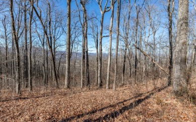 Views, views, views! When you decide to build a home in the on Brasstown Valley Resort and Spa in Georgia - for sale on GolfHomes.com, golf home, golf lot