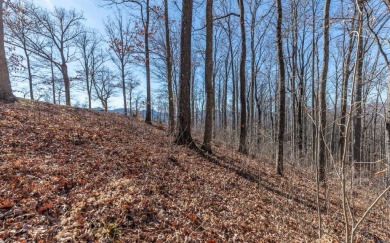 Views, views, views! When you decide to build a home in the on Brasstown Valley Resort and Spa in Georgia - for sale on GolfHomes.com, golf home, golf lot