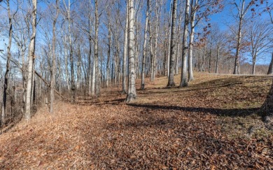 Views, views, views! When you decide to build a home in the on Brasstown Valley Resort and Spa in Georgia - for sale on GolfHomes.com, golf home, golf lot