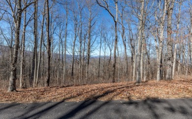 Views, views, views! When you decide to build a home in the on Brasstown Valley Resort and Spa in Georgia - for sale on GolfHomes.com, golf home, golf lot