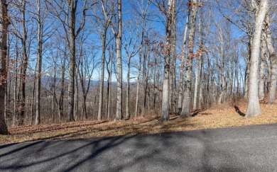 Views, views, views! When you decide to build a home in the on Brasstown Valley Resort and Spa in Georgia - for sale on GolfHomes.com, golf home, golf lot