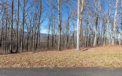 Views, views, views! When you decide to build a home in the on Brasstown Valley Resort and Spa in Georgia - for sale on GolfHomes.com, golf home, golf lot