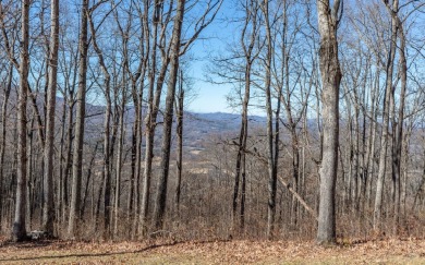 Views, views, views! When you decide to build a home in the on Brasstown Valley Resort and Spa in Georgia - for sale on GolfHomes.com, golf home, golf lot